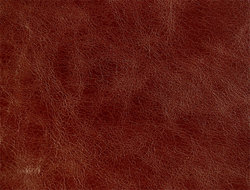 cueros-naturales-para-la-decoracion-novedades-grevy-5