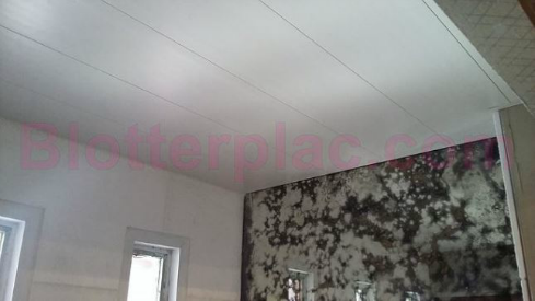 placas-de-yeso-antihumedad-en-floresta-calidad-de-productos-blotter-plac-2