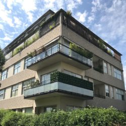 Muro verde sin mantenimiento para balcones – Just Green