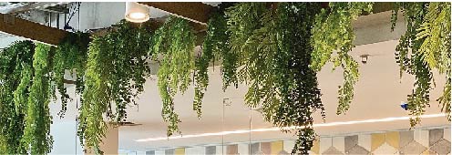 Plantas colgantes artificiales - La Paternal- Just GreenTradem Style